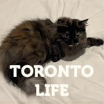 Thumbnail of related posts 040